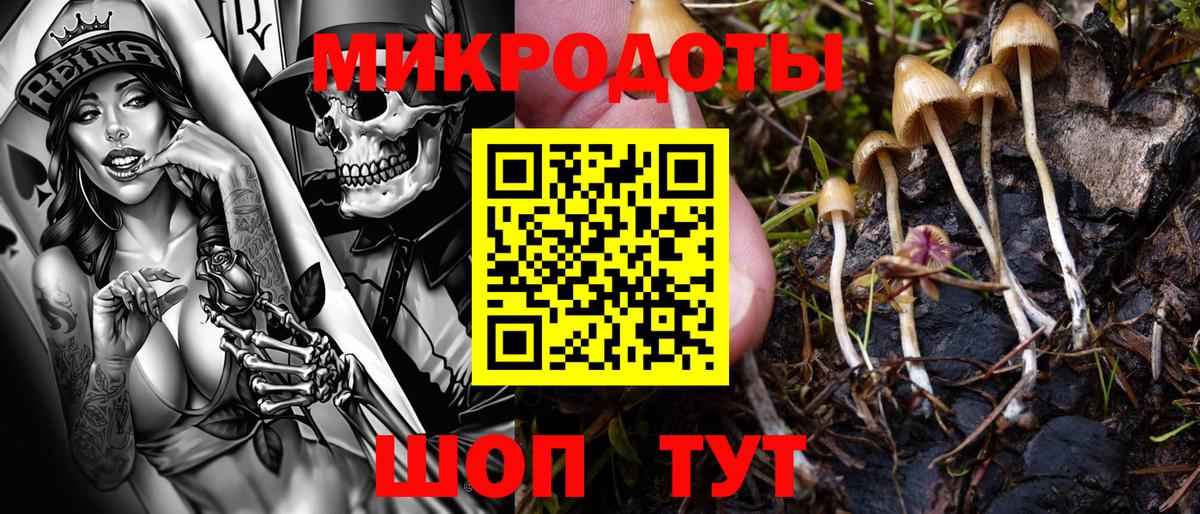 Псилоцибиновые грибы мухоморы Приморско-Ахтарск
