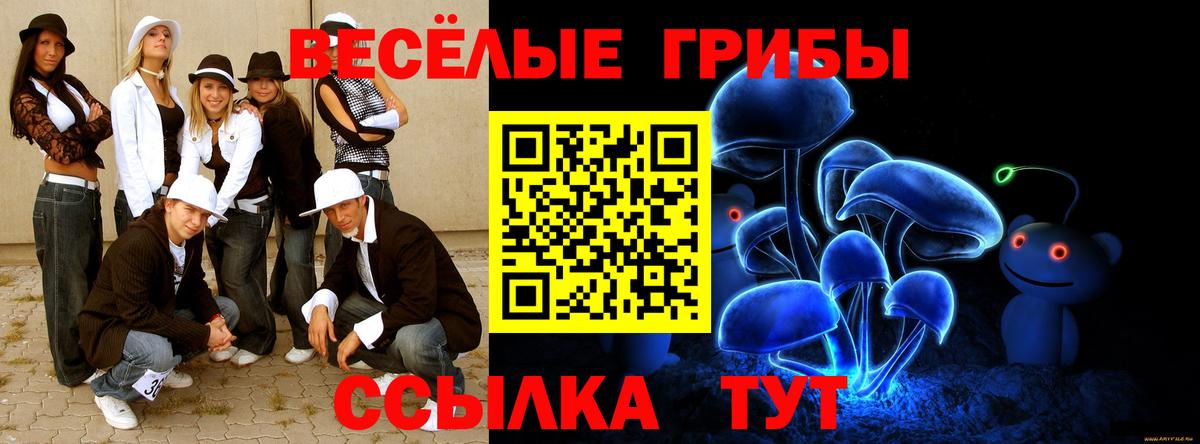 Приморско-Ахтарск  Псилоцибиновые грибы ЛСД  Вход с VPN 