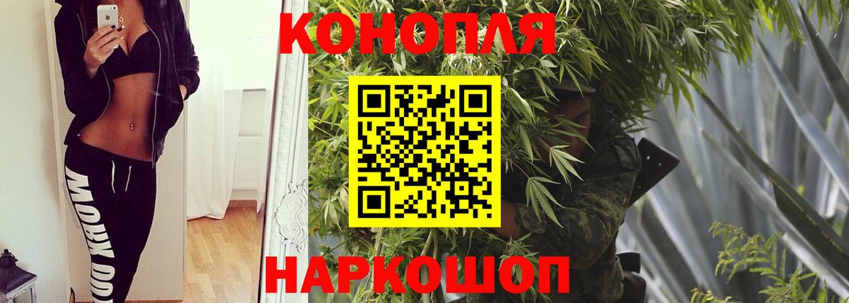 Бошки марихуана Bruce Banner Приморско-Ахтарск